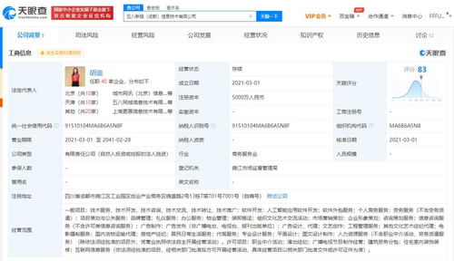 軟件銷售 數(shù)字時代的技術(shù)市場策略